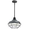 Pier 1-LT 12" Convertible Pendant