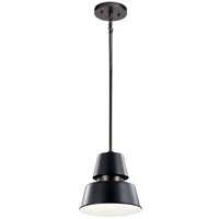 1-LT Outdoor Pendant