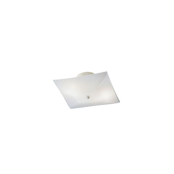 Ceiling Space 12" 2-LT Flush Mount