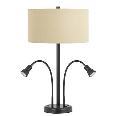 Metal Desk Lamp w/LED (Bulbs Included)