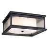 3-LT Outdoor Flush Mount