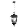 3-LT Outdoor Hanging Lantern