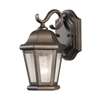 Small 1-LT Outdoor Wall Lantern