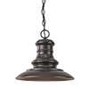 1-LT Outdoor Pendant