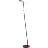 1-LT LED Floor Lamp