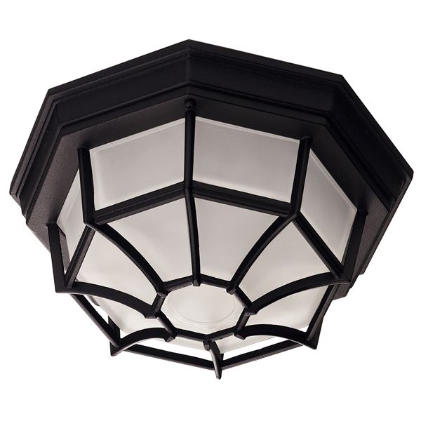Exterior Collections Flush Mount