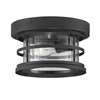 Barrett 10" Outdoor Ceiling-LT