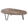Uttermost Leveni Wooden Coffee Table