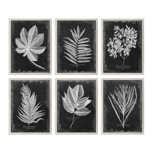 Uttermost Foliage Framed Prints Set Of 6