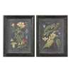 Uttermost Midnight Botanicals Wall Art Set Of 2