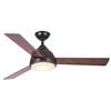 Outdoor 52" Ceiling Fan with Remote Control