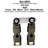 Morel 6651