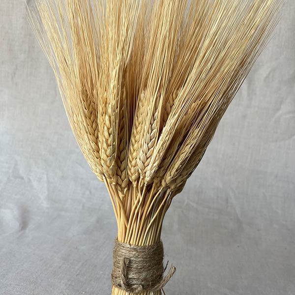 Triticum Wheat Stack Natural Small