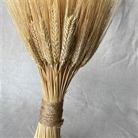 Triticum Wheat Stack Natural Medium