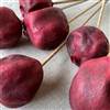 Enhanced Pomegranate Red Stem, Dried Pod