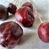 Pomegranate Polished Stem, Dried Pod