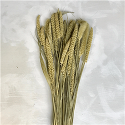 China Millet Natural