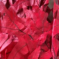 Transparent Oak Red 1 lb