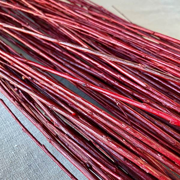 Asian Willow 5'  Red