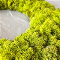 Reindeer Moss Wreath