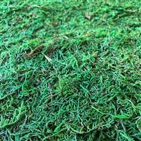 Moss Mat 16 x 18 Green