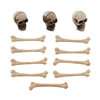 Halloween 2023 Tim Holtz Idea-ology Skulls & Bones TH94339