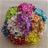 Mixed Color Sweetheart Blossom Flowers SAA-043
