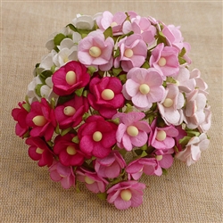 Mixed Pink and White Sweetheart Blossom Flowers SAA-331