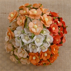 Mixed Peach/Orange and White Sweetheart Blossom Flowers SAA-334