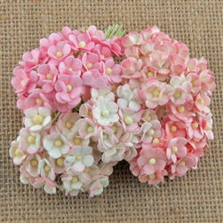 Miniature Mixed Pink Sweetheart Blossom Flowers SAA-442