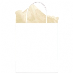 White Solid Medium Kraft Bags | Party Supplies