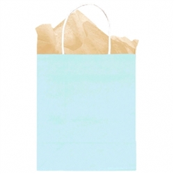 Light Blue Solid Medium Kraft Bags | Party Supplies