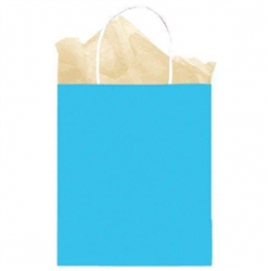 Caribbean Solid Medium Kraft Bags | Party Supplies