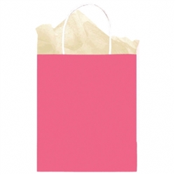 Fuschia Solid Medium Kraft Bags | Party Supplies