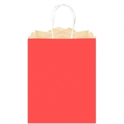Red Large Solid Kraft Paper Bags | Party Supplies