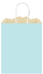 Light Blue Solid Large Kraft Bags | Party Supplies
