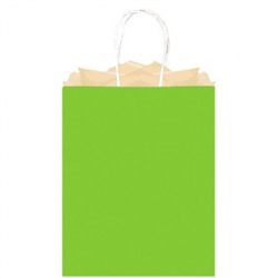 Kiwi Solid Large Kraft Bags | Party Supplies