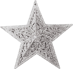 Silver Star | Party Supplies
