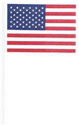 American Flag - 4" x 6-1/4" | Party Supplies