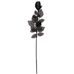 Black Rose | Party Supplies