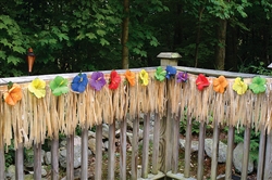 Luau Deck Fringe | Party Supplies