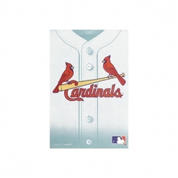St. Louis Cardinals Loot Bags | Party Supplies
