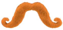 Orange Moustache | Party Supplies