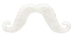 White Moustache | Party Supplies