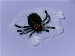 Big Plastic Spider & Polyester Web