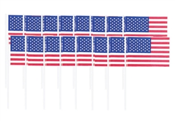 American Flag Picks | Party Supplies