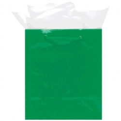 Green Mini Solid Glossy Paper Bags | Party Supplies