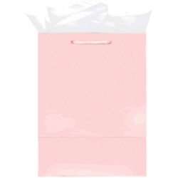 Pink Mini Solid Glossy Bags | Party Supplies