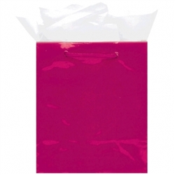 Magenta Mini Solid Glossy Bags | Party Supplies