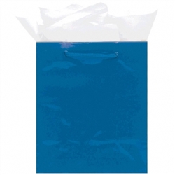Royal Blue Mini Solid Glossy Bags | Party Supplies